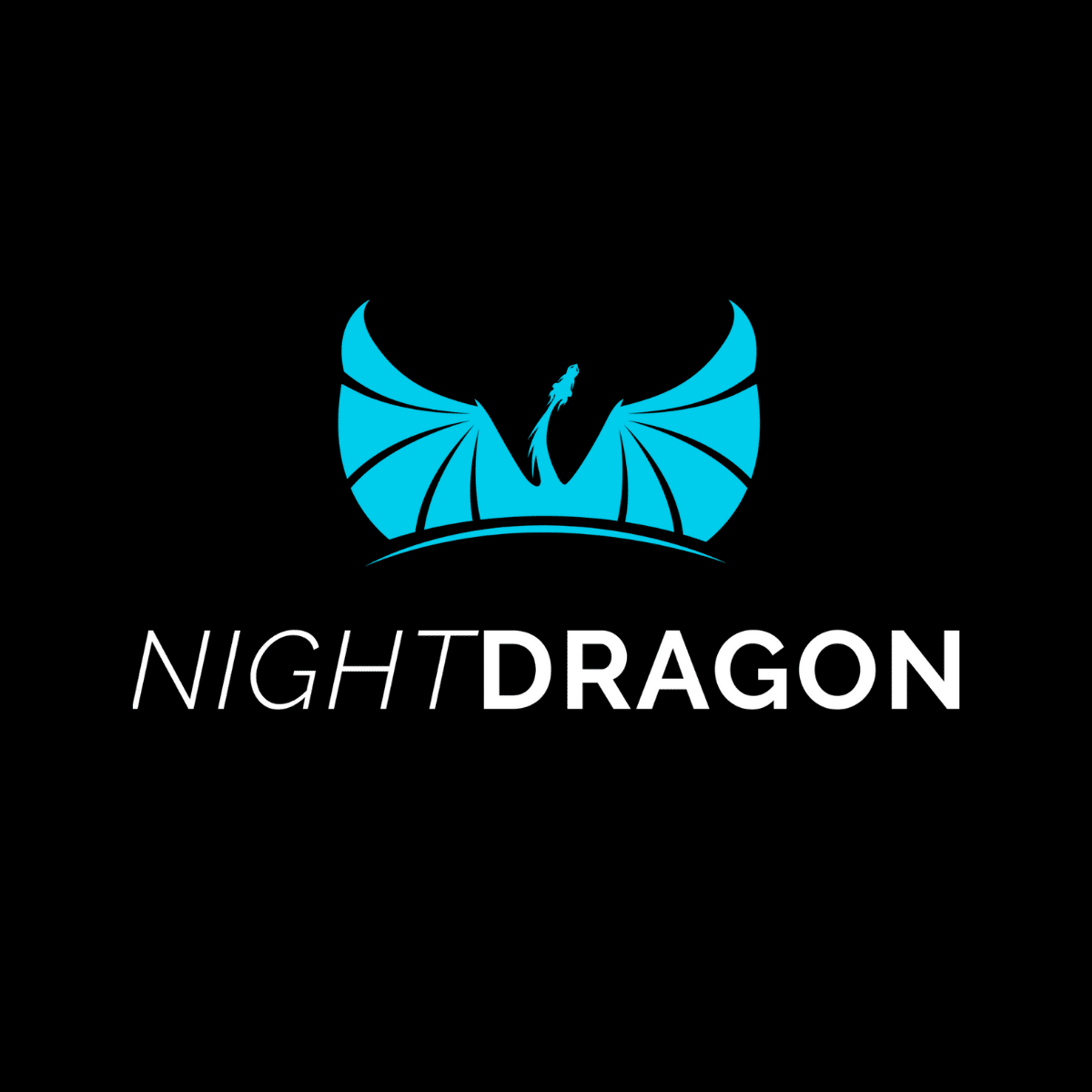 NightDragon, Investment in ThriveDX, Acquisitions.